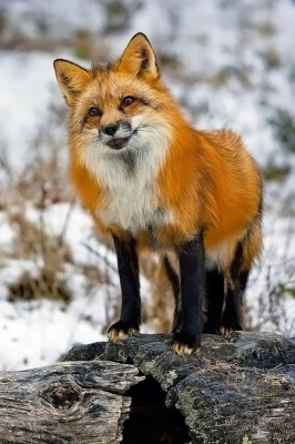 170